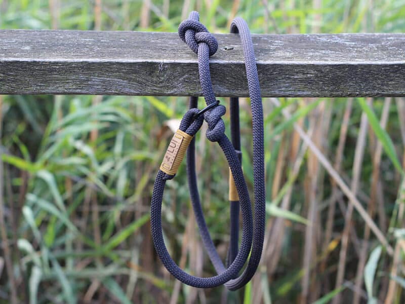 Retrieverleine Stralsund