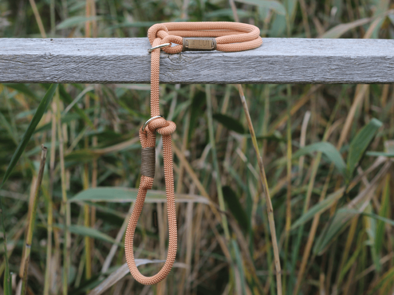 2-in-1-Kombi Brasilien