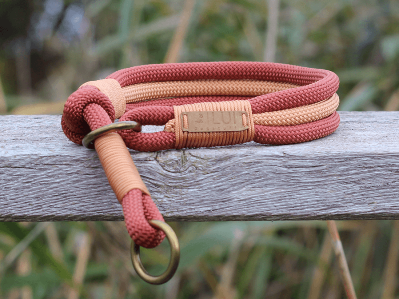 Retrieverhalsband Hemmelsdorf