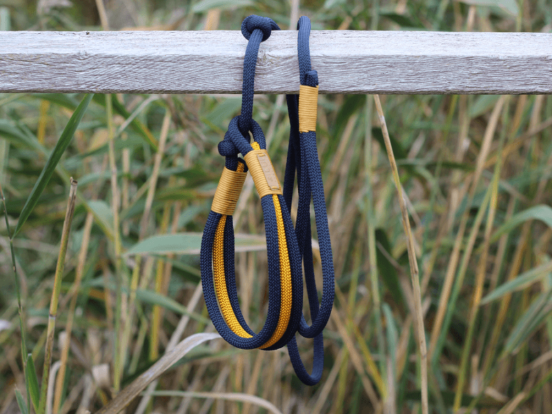 Retrieverleine Kalifornien