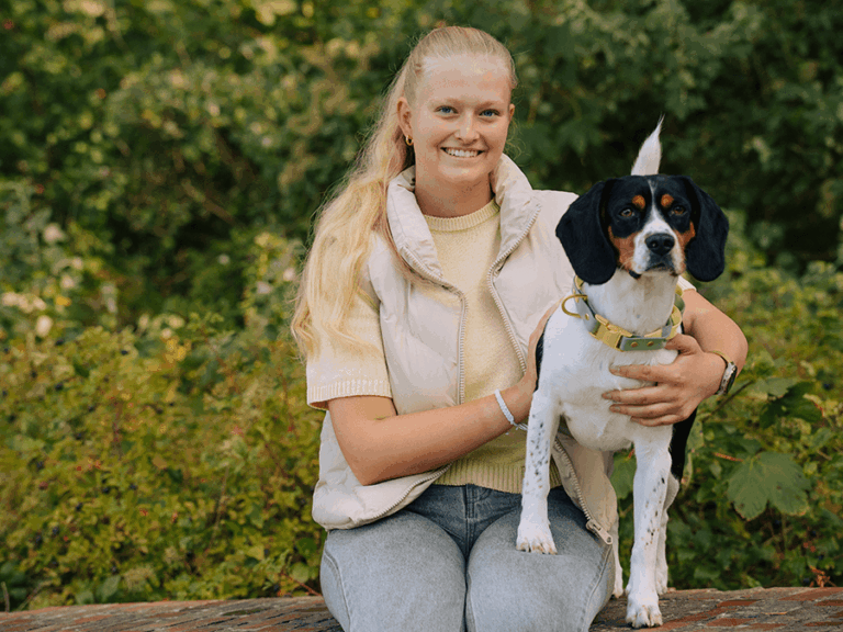 Handgemachtes geflochtenes Halsband (Modell Neustadt) aus Biothane in gelb und hellblau mit goldener Schnalle von LUI Dogstuff