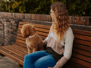 Handgemachtes Halsband (Modell Rügen) aus Tau in creme von LUI Dogstuff