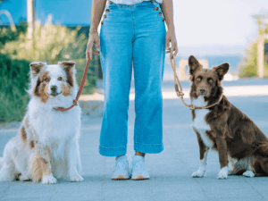 Handgemachte 2-in-1-Kombi (Modell Brasilien) aus Tau in kupfer und creme von LUI Dogstuff