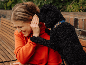 Handgemachtes Halsband (Modell Grömitz) aus Biothane in blau von LUI Dogstuff