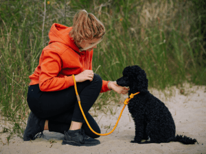 Handgemachte Retrieverleine (Modell Stralsund) aus Tau in gelb von LUI Dogstuff