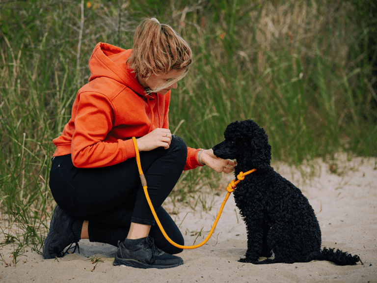Handgemachte Retrieverleine (Modell Stralsund) aus Tau in gelb von LUI Dogstuff