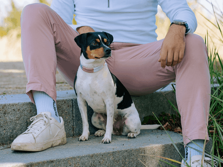 Handgemachtes Halsband (Modell Heiligenhafen) aus Biothane in rosa, weiß und blau von LUI Dogstuff