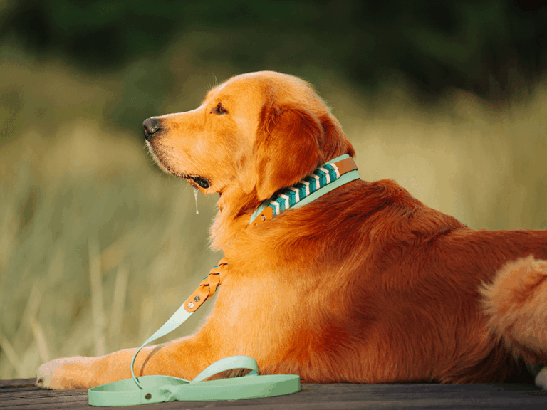 Handgemachte Leine mit Jagdhaken (Modell Grömitz) aus Biothane in mint und braun von LUI Dogstuff