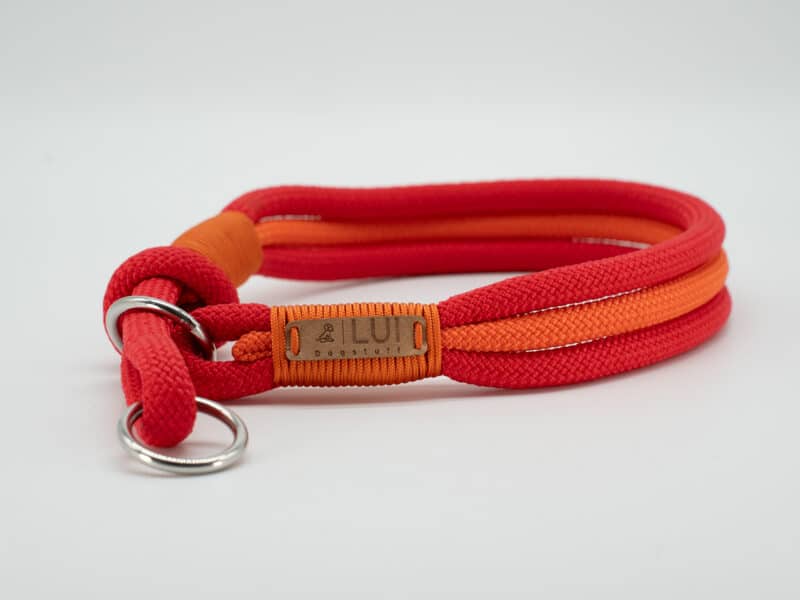Zugstopp-Halsband Hemmelsdorf
